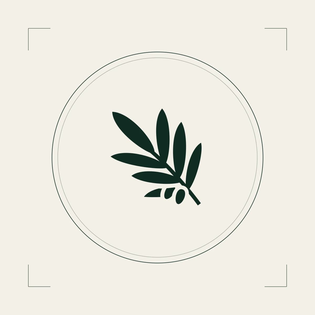 Olive Oil